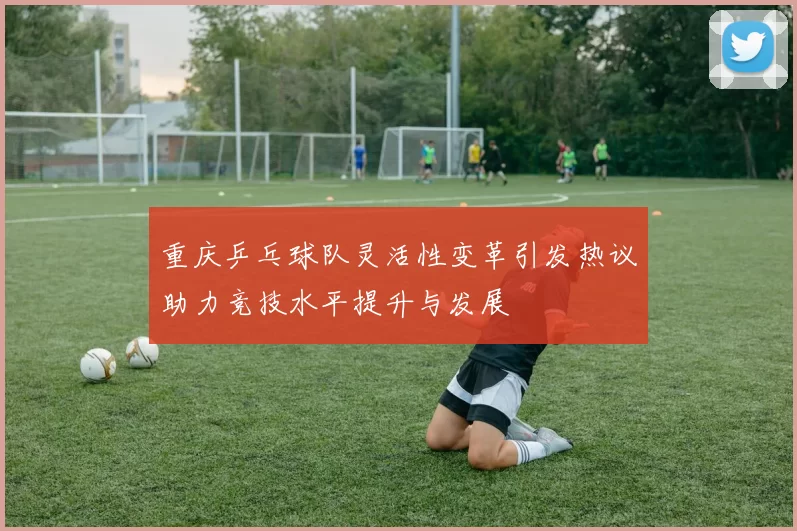 重庆乒乓球队灵活性变革引发热议助力竞技水平提升与发展