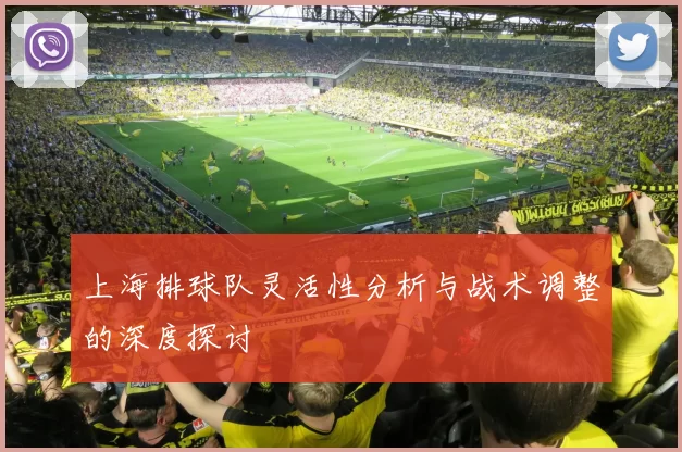 上海排球队灵活性分析与战术调整的深度探讨
