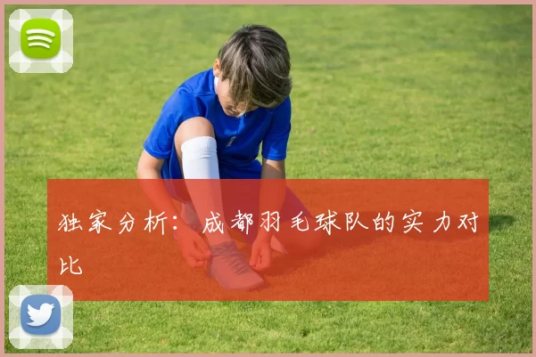 独家分析：成都羽毛球队的实力对比