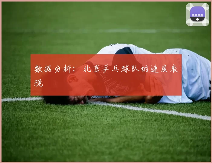 数据分析：北京乒乓球队的速度表现