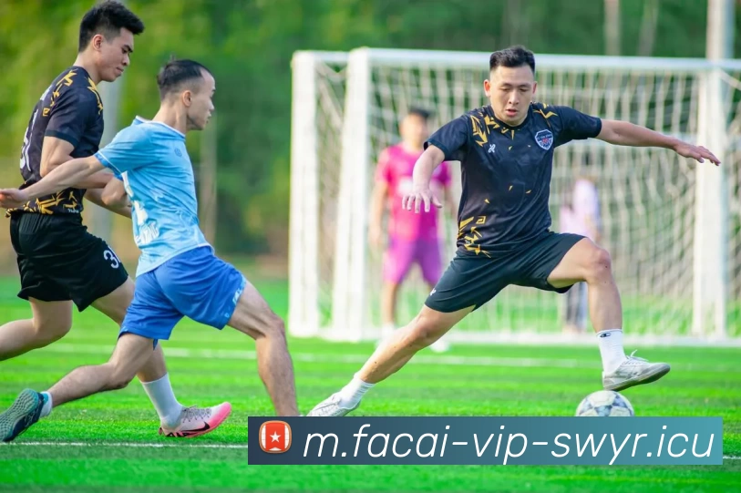 开云体育服务体系